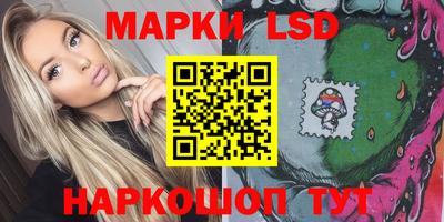 МДПВ Новозыбков
