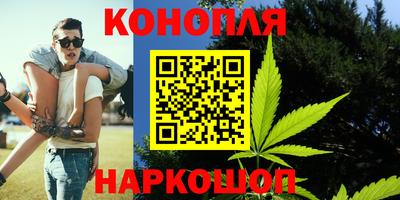 МДПВ Новозыбков