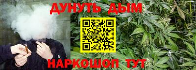 МДПВ Новозыбков