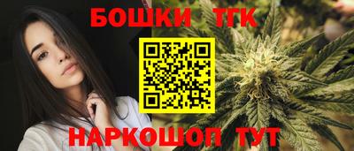 дмт Новокубанск