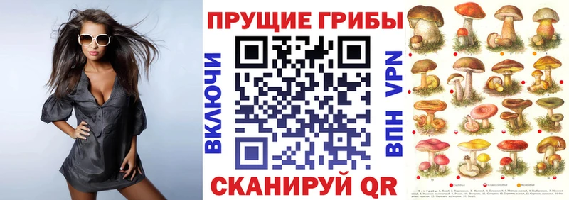 Галлюциногенные грибы GOLDEN TEACHER  Усть-Джегута 