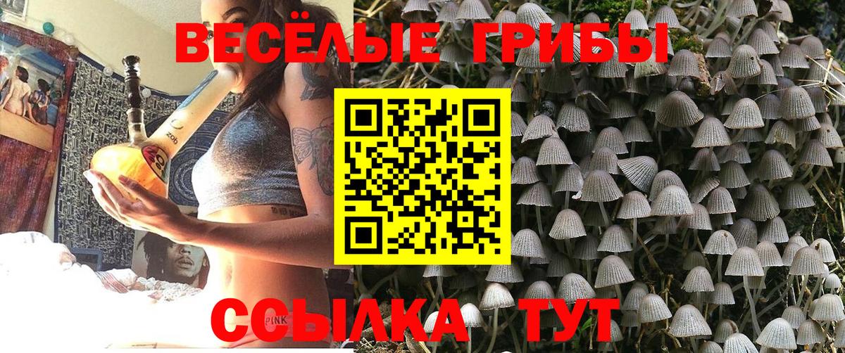 Усть-Джегута  Псилоцибиновые грибы мицелий  Вход с VPN 