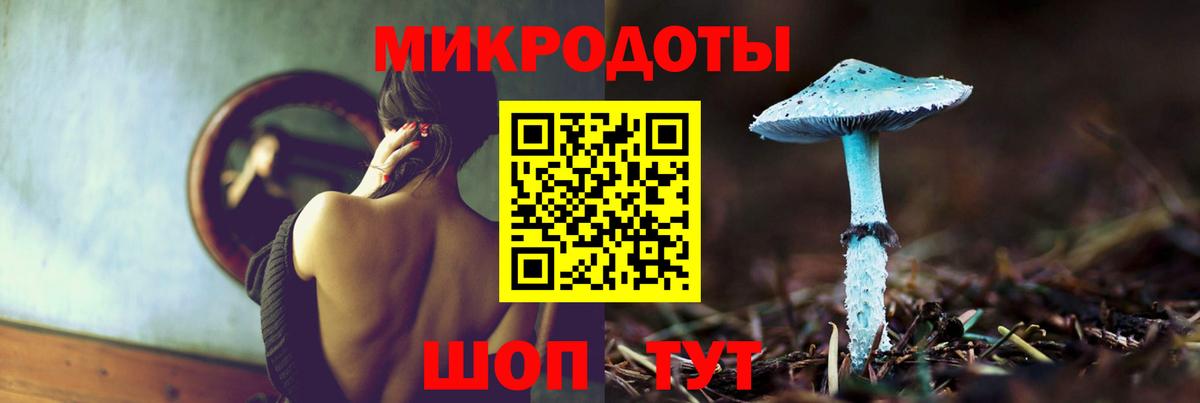 Псилоцибиновые грибы Psilocybe Усть-Джегута
